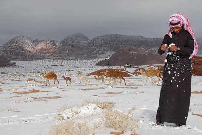 Saudi Seasonal Tourism