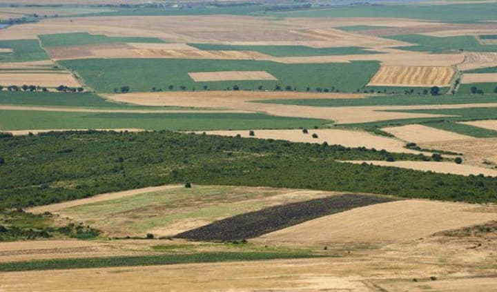 Agriculture Ministry Allocates 38 Farms to Private Sector