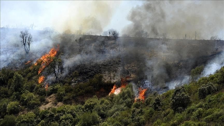 Tunisia and Italy strengthen cooperation to fight wildfires