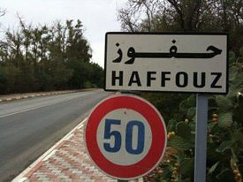 Hafouz light truck crash injures four people, with two in critical condition