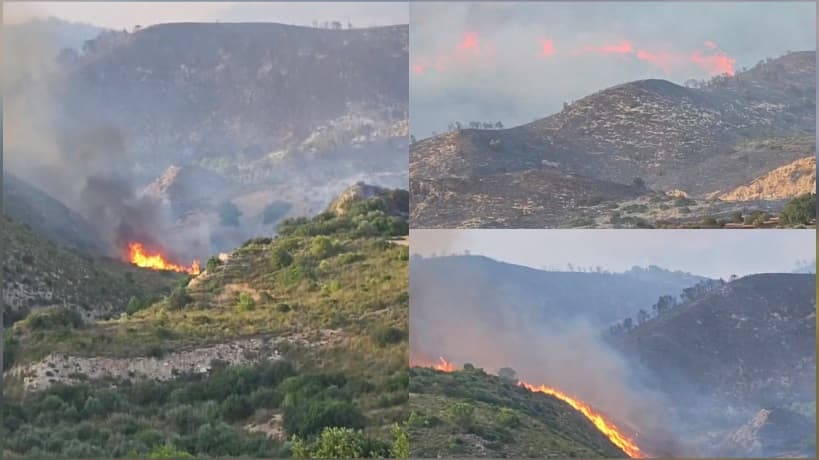 حريق في جبل الشحمة بمنطقة بئر حليمة بزغوان