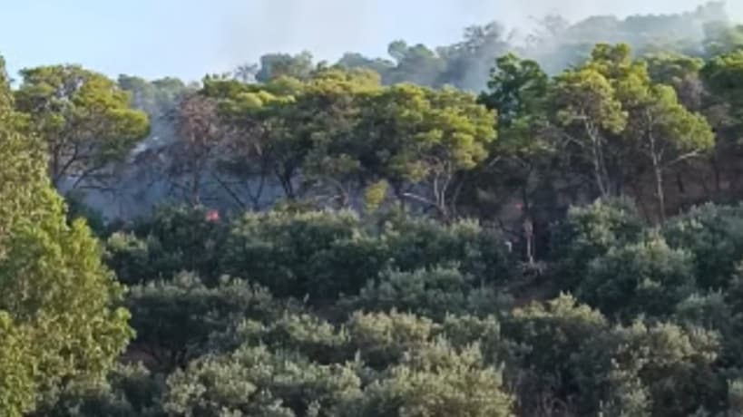 أريانة: السيطرة على حريق بجبل الشرف بجعفر