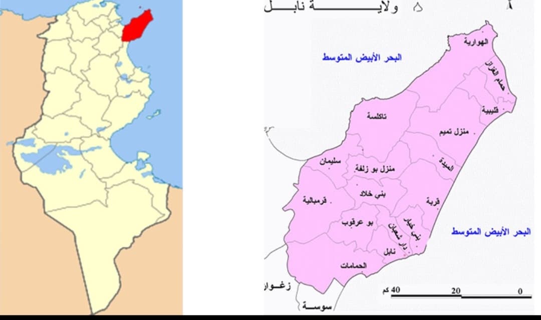وزير الفلاحة يزور نابل لمتابعة تقدم أعمال صيانة المنشآت المائية وجهر مجاري الأودية