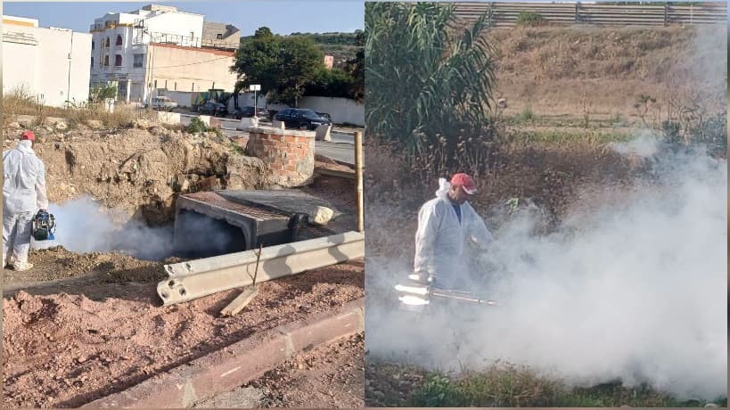 بنزرت.. حملة للقضاء على الحشرات في المدينة