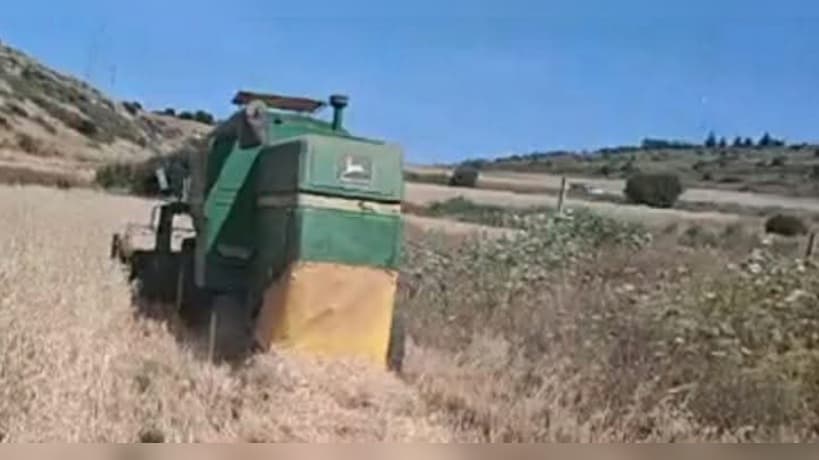 Fazzan farmers in Tabarka and Manouba demand the creation of agricultural pathways