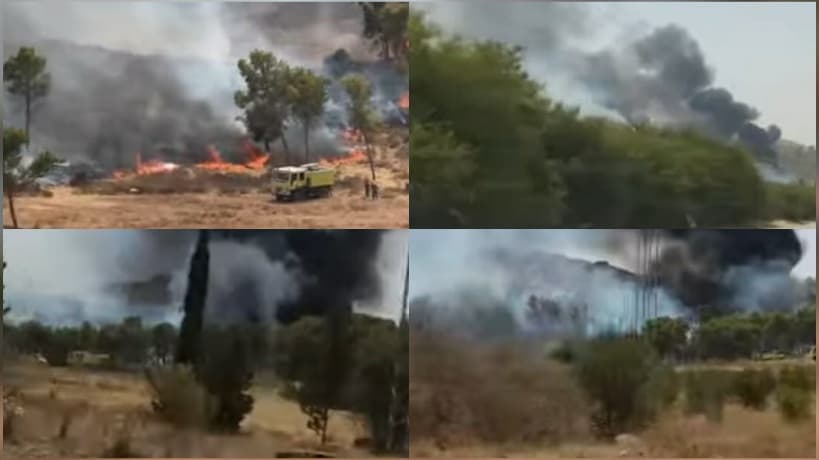 Tebourba fire contained, 2 ha affected