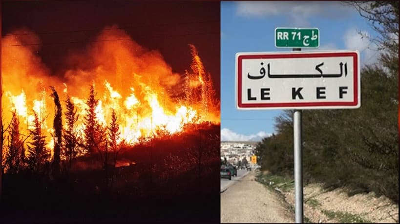 الكاف: جهود حماية الغابات لمكافحة الحرائق
