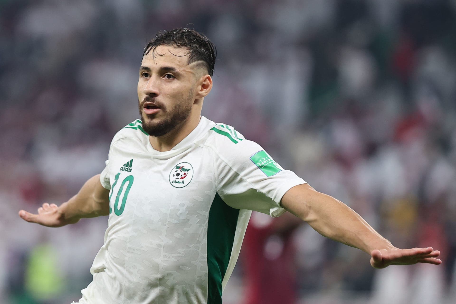 بلايلي ينضم لمولدية الجزائر