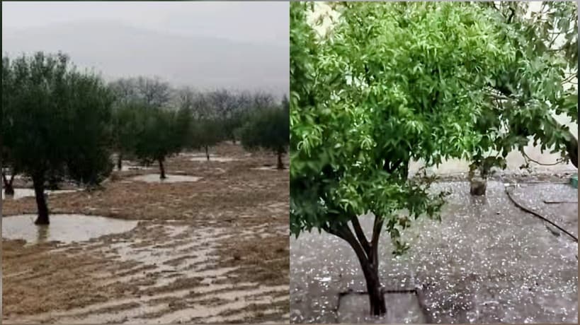 القيروان: أمطار بالوسلاتية تريح بعد الحر