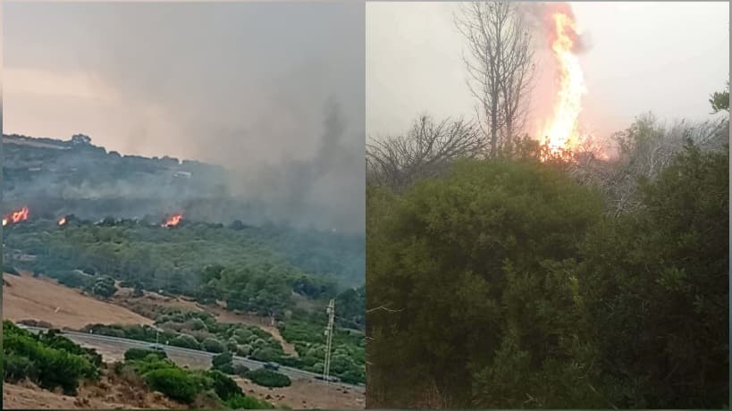 حريق في جبل هنشير الشادلي