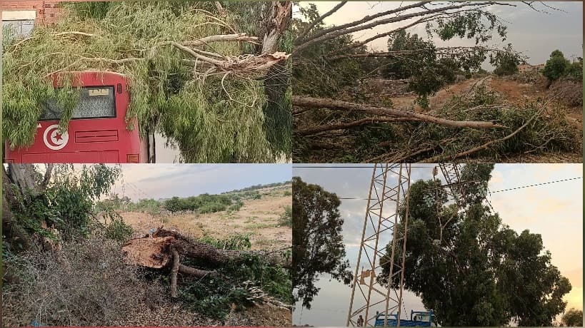 Nafaqa storm causes outages and damage