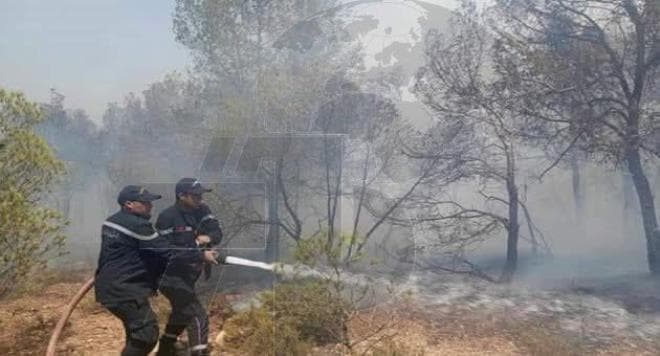 جهود إطفاء حريق جبل بوعديلة في جندوبة