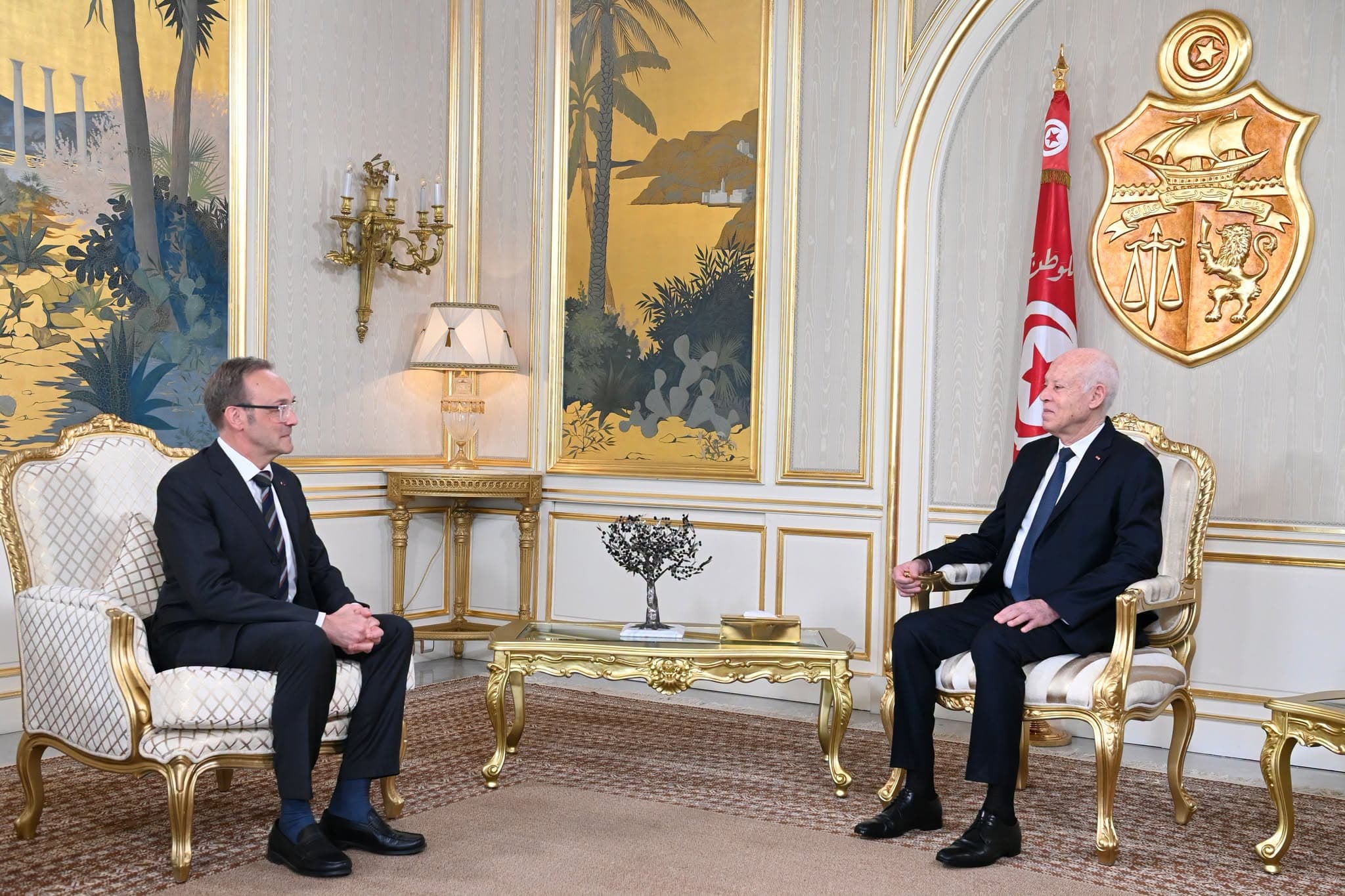 President meets Belgian ambassador upon mission completion