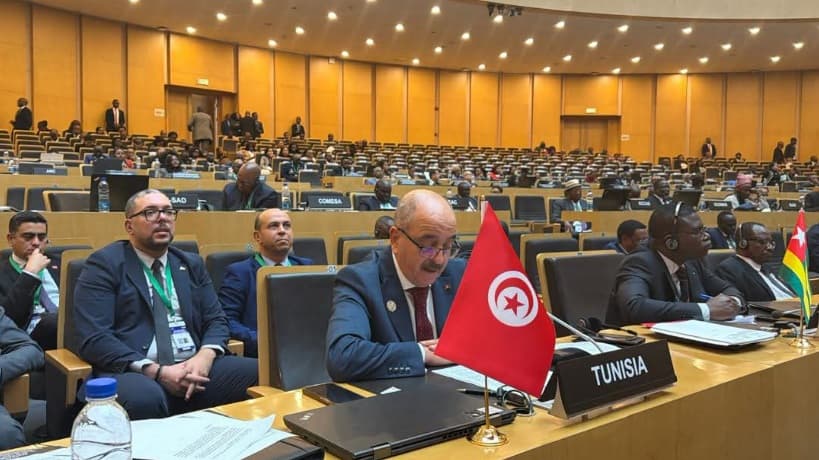 Foreign Minister stresses governance in AU reform