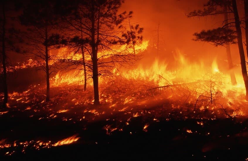 Heatwave Raises Fire Risk Near Bordeaux