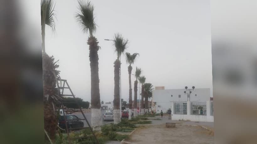Kairouan begins Mawlid preparations