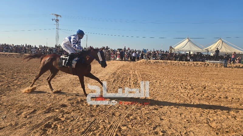 ختام الدورة 37 للمهرجان الدولي للفروسية في بنقردان