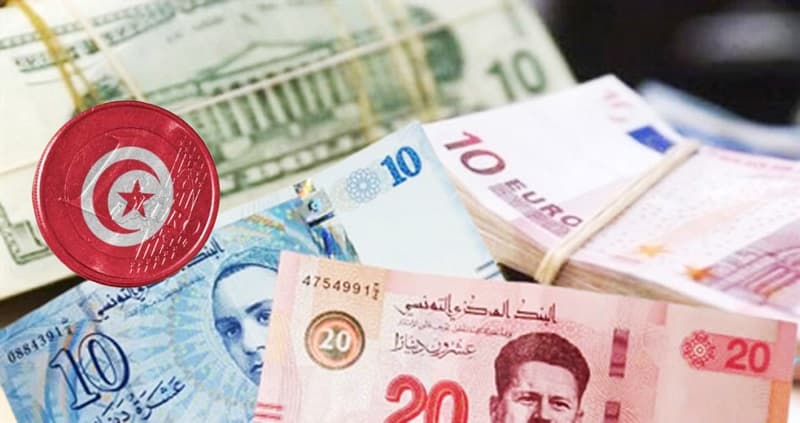 Industry Union Chairman: Expat Remittances to Exceed 9 Billion Dinars by 2026