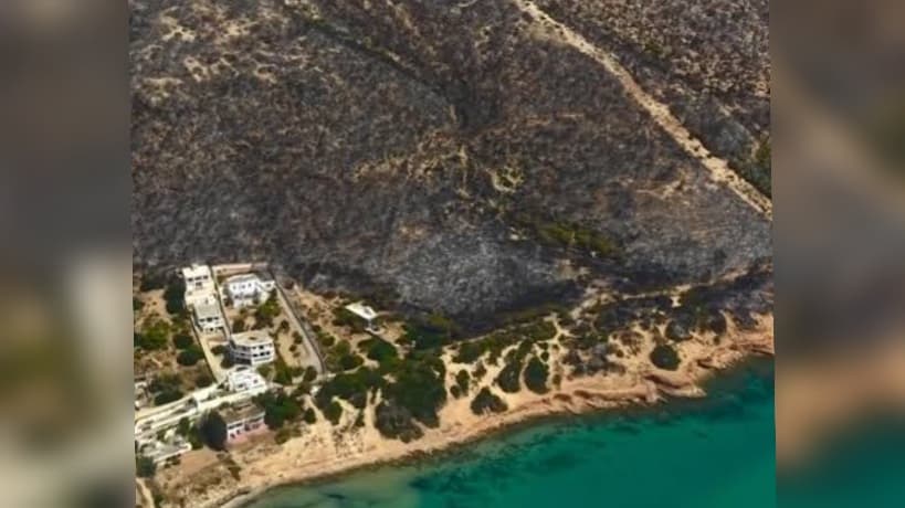 حملة لزرع 200 ألف شجرة في جبل الناظور