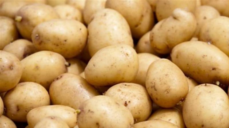 Agriculture Minister Announces Potato Stock at 12,392 Tons