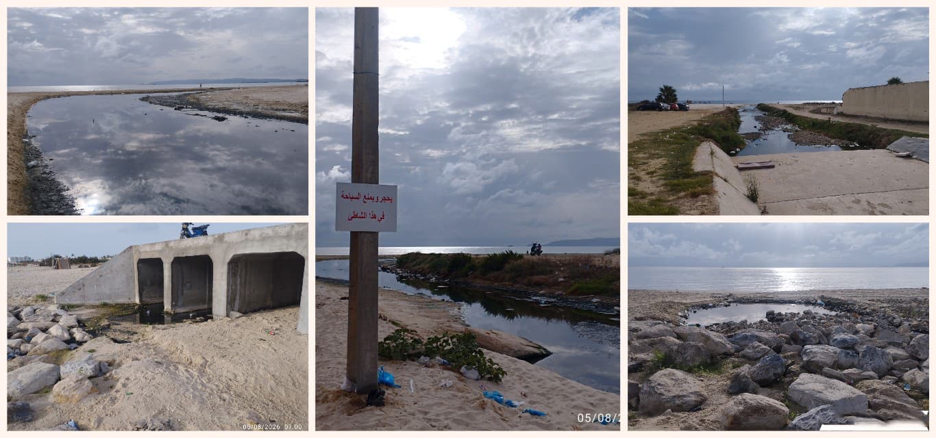 Bizerte report raises swimming safety concerns