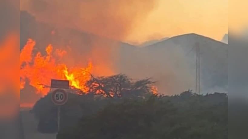 Bizerte: Efforts to Contain Sakhra Forest Fire
