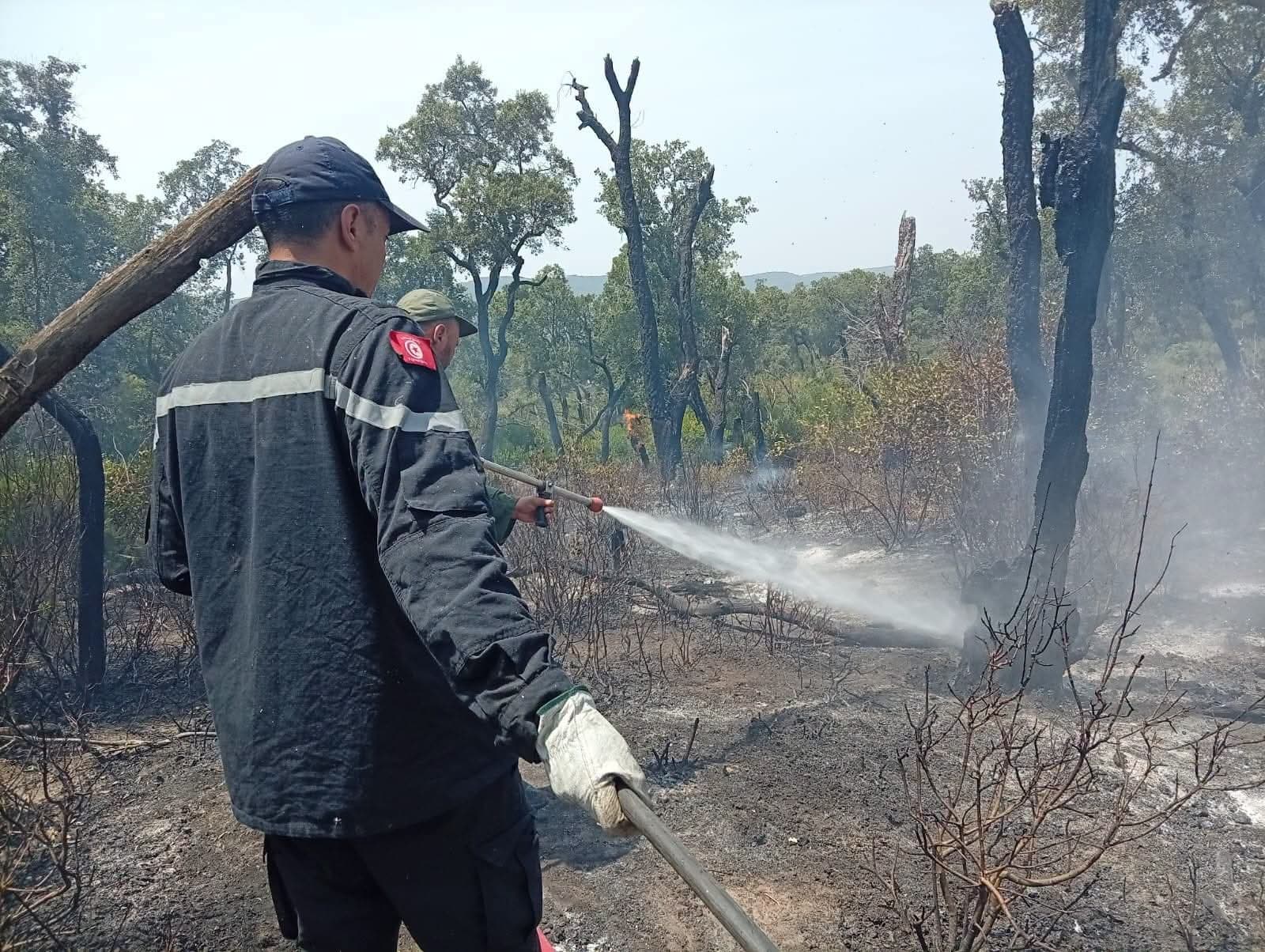 Jendouba fire in Bou Salem contained