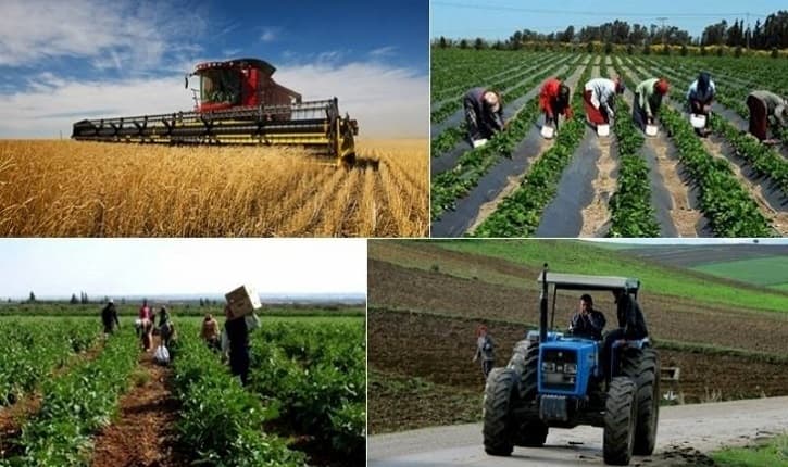 ارتفاع استثمارات الفلاحة الخاصة إلى ماي 2026
