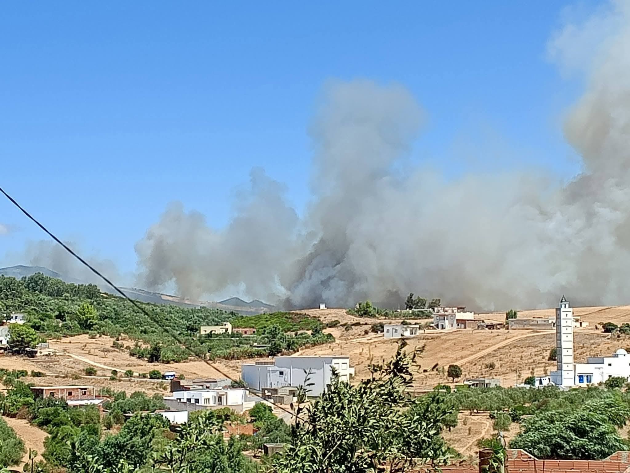 بنزرت تسيطر على حريق جبل سيدي عيسى