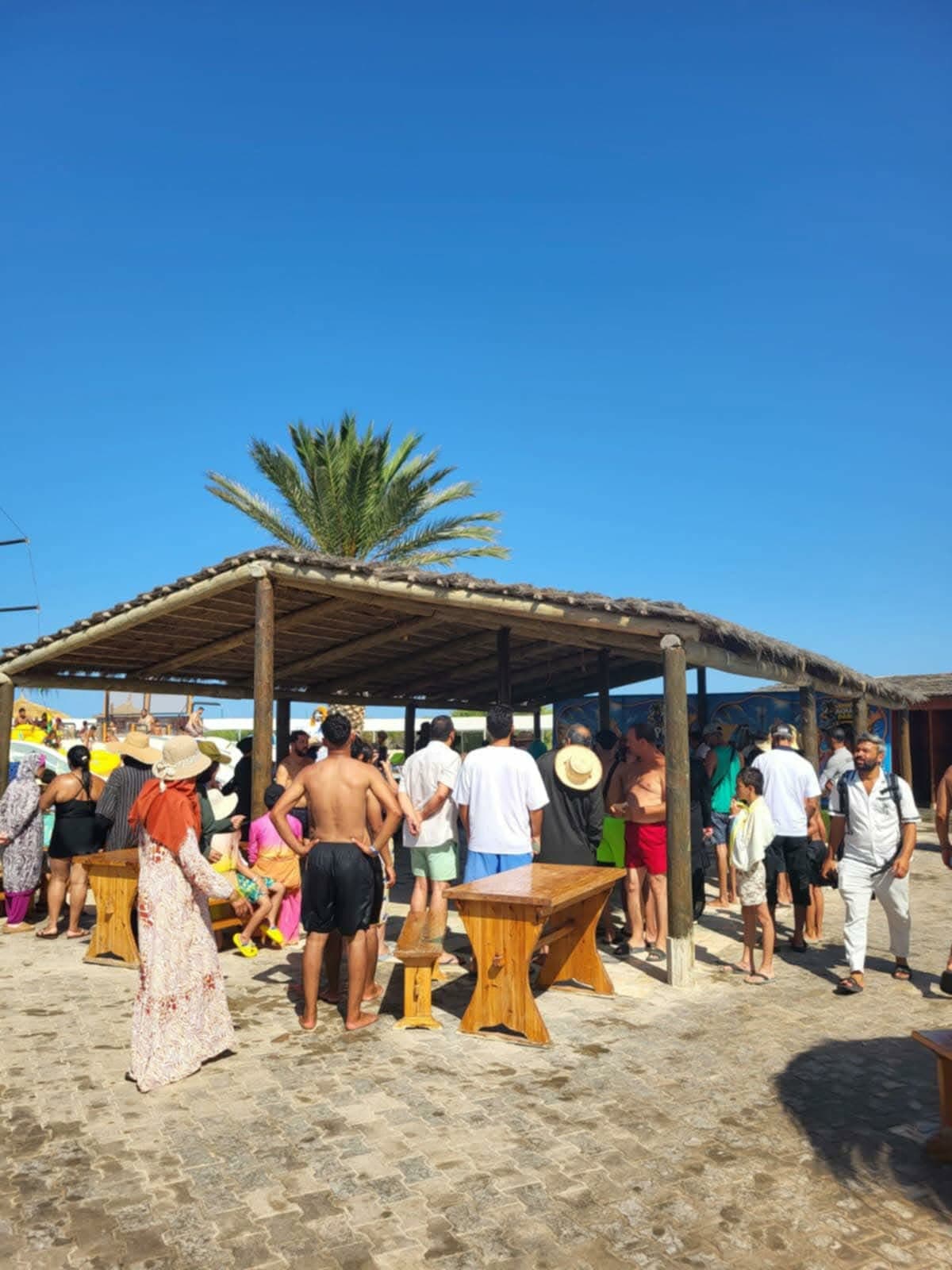 عرض النوبة الجربية في جربة لعيد المرأة