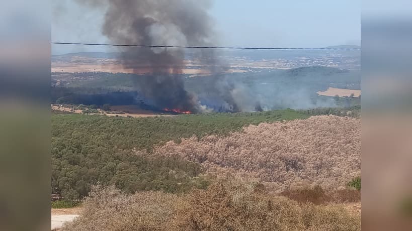 Fire Erupts in Oulad Hassan Forest