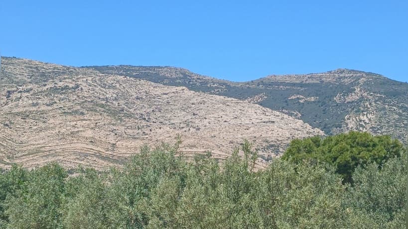 السيطرة على حريق في جبل السرج