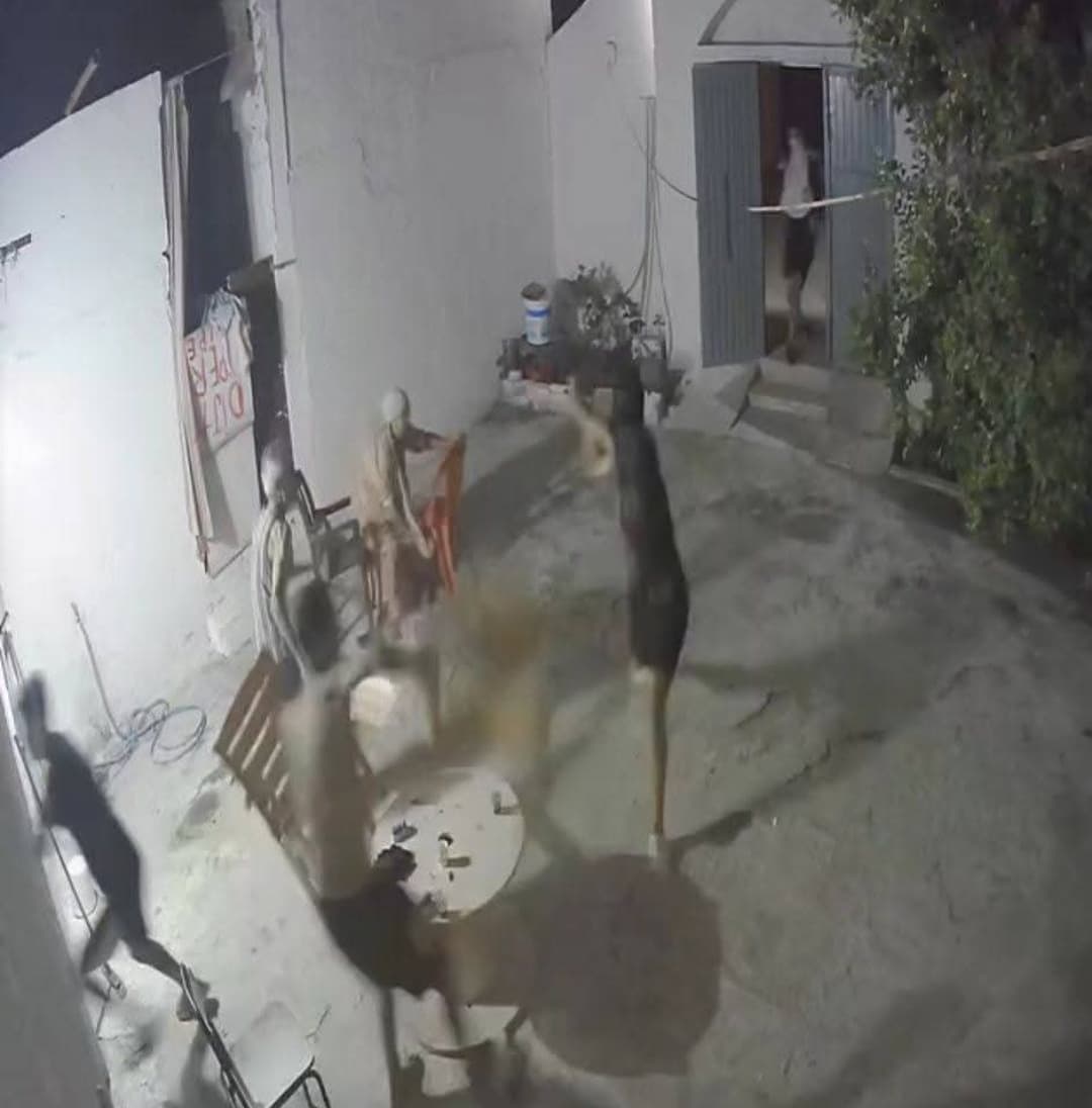 Beni Khaled detains suspects over house intrusion