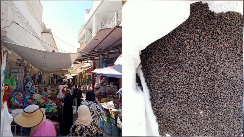 القيروان الزقوقو يستقر وسط تحرك تجاري