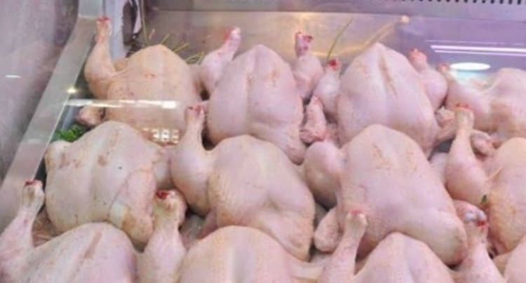منوبة تجار الدجاج يرفضون التسعيرة