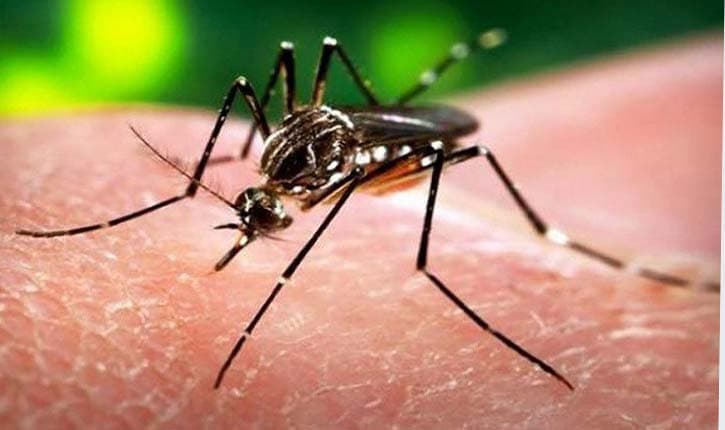 وزارة الصحة تقدم نصائح للوقاية من البعوض