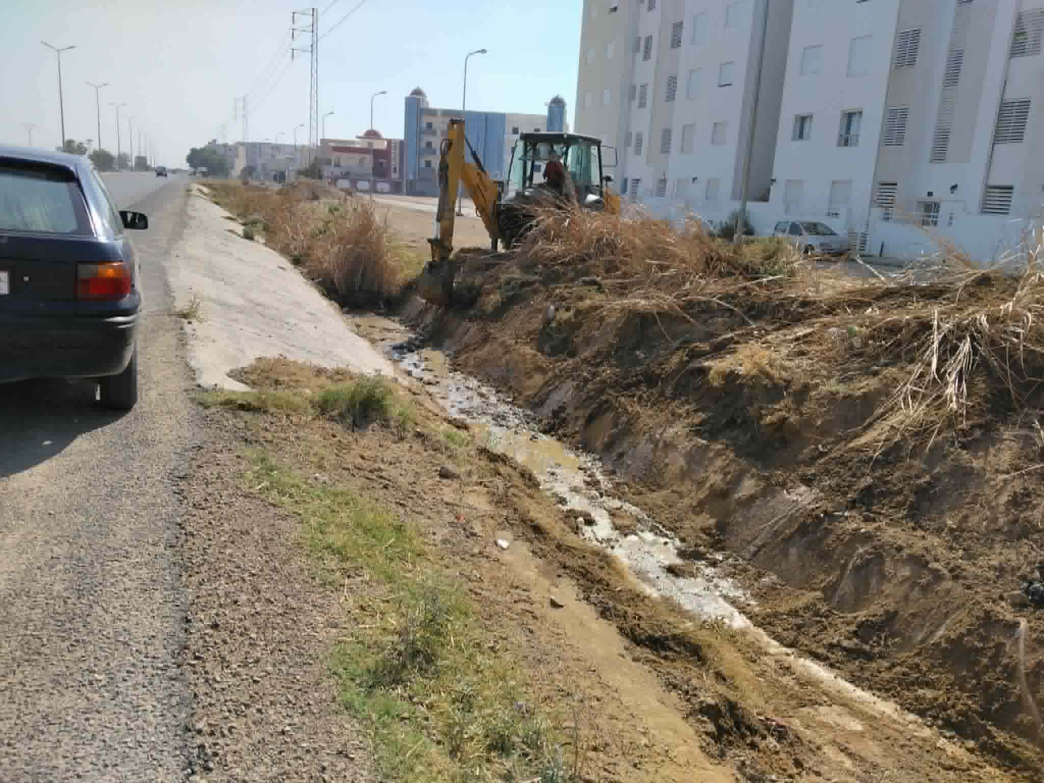 القيروان تنفذ حملة لتنظيف الطرق