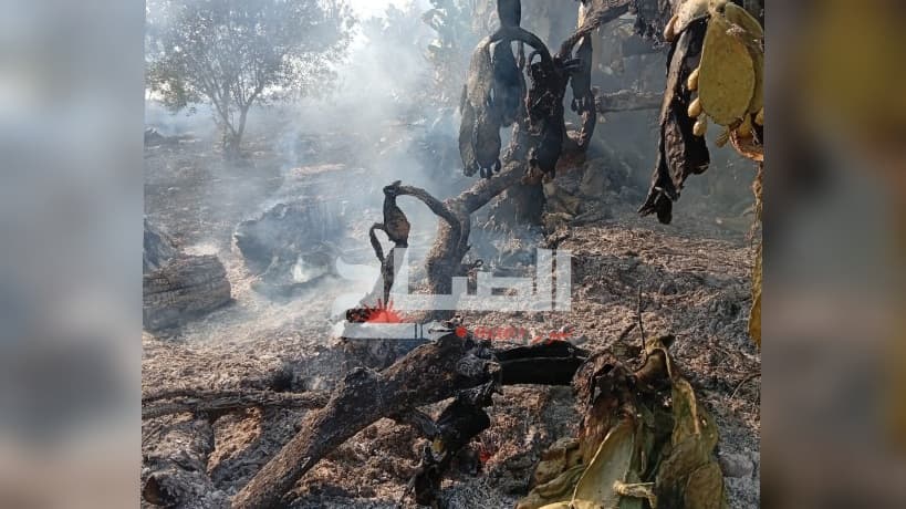 Fire at Ghora in Bouaouan under control