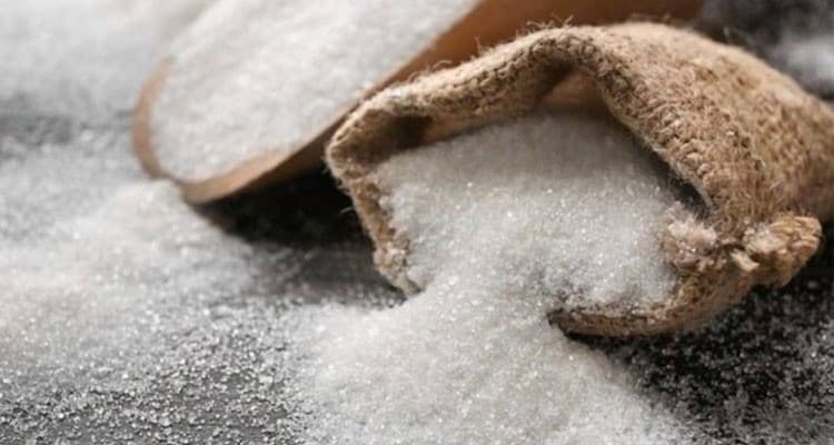 استعدادات المولد بحجرات السكر