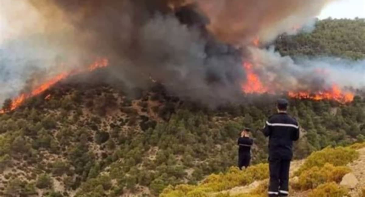 Jendouba faces multiple fires damaging homes and farms