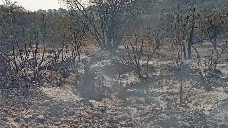 Mount Barqu fire reaches Al-Qawasimi