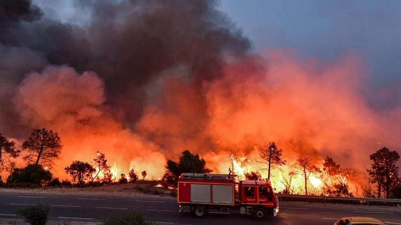 Al-Gharibi: Fires in Tunisia demand death penalty