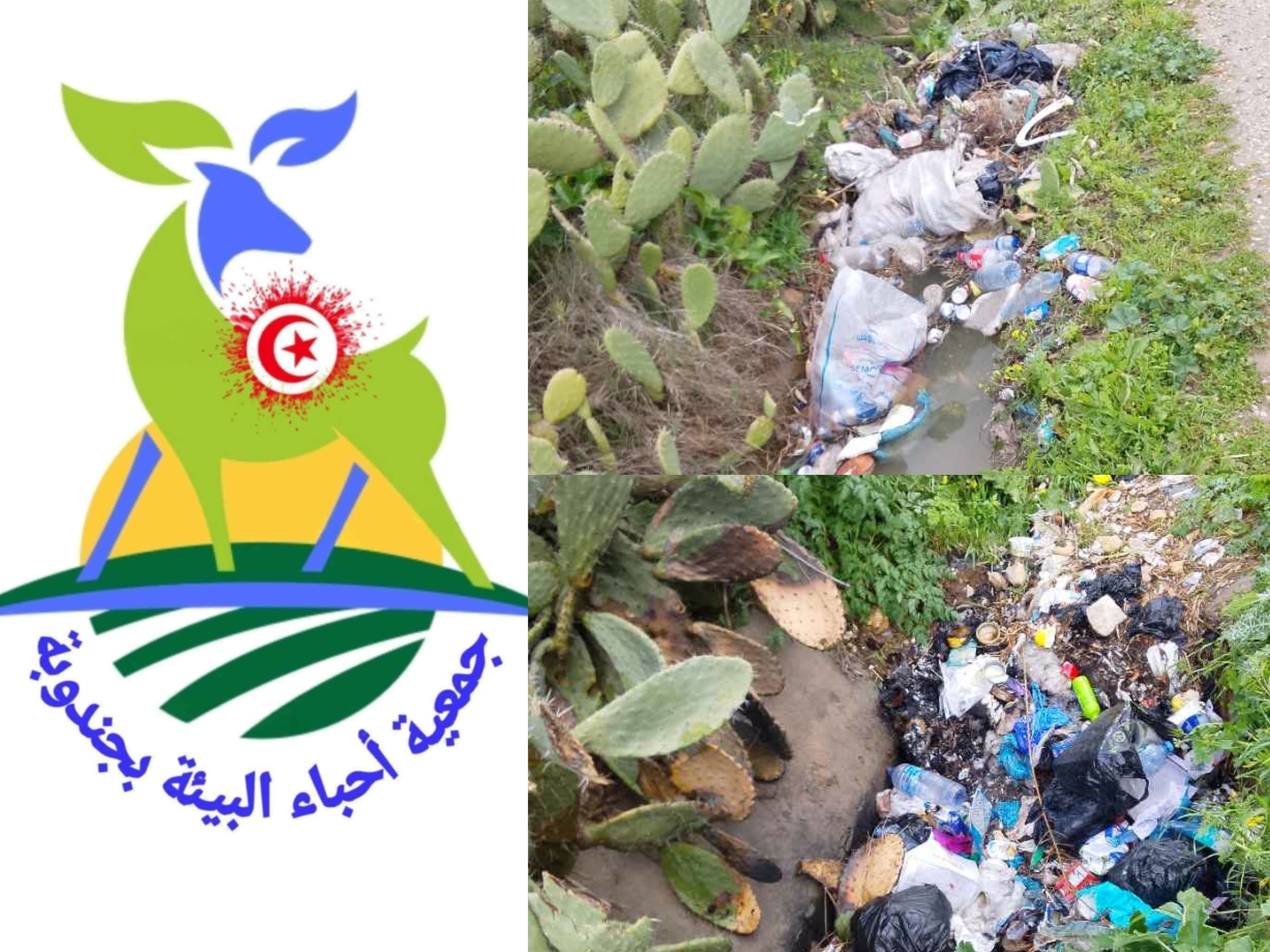 جندوبة الجنوبية تفحص الوضع البيئي