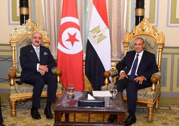 Foreign Minister Meets Egyptian Counterpart