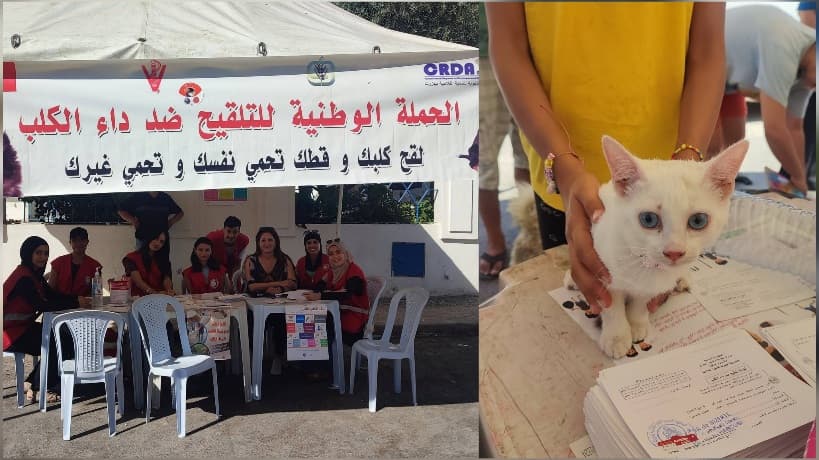 Launch of rabies vaccination drive