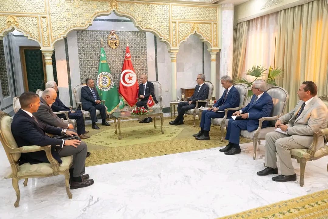 Foreign Minister calls for Arab unity