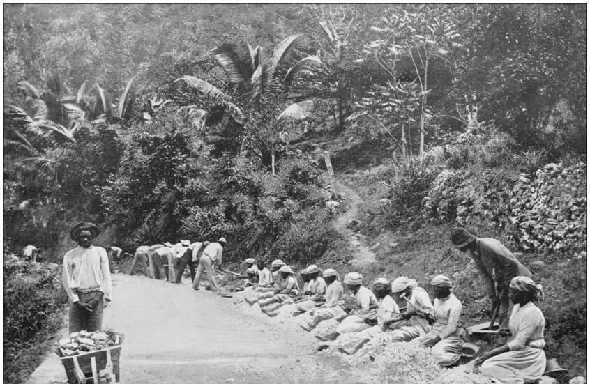 Caribbean nations seek slavery reparations at summit with King Charles