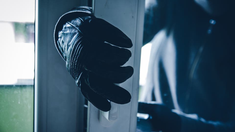 Tamim's house dismantles theft network