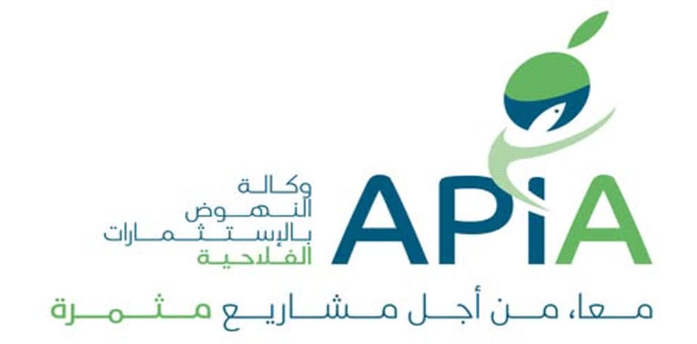 Funding Opens for Youth Projects