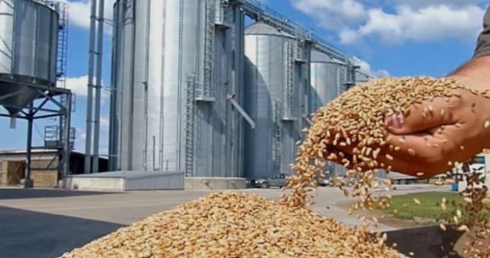 Kairouan 30,000 Hectares of Cereals Boost Production